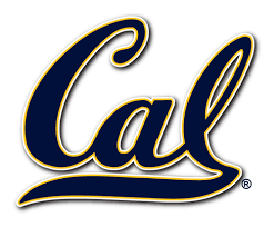 ‘New’ Is the Key Word for Cal Women’s Volleyball in 2017