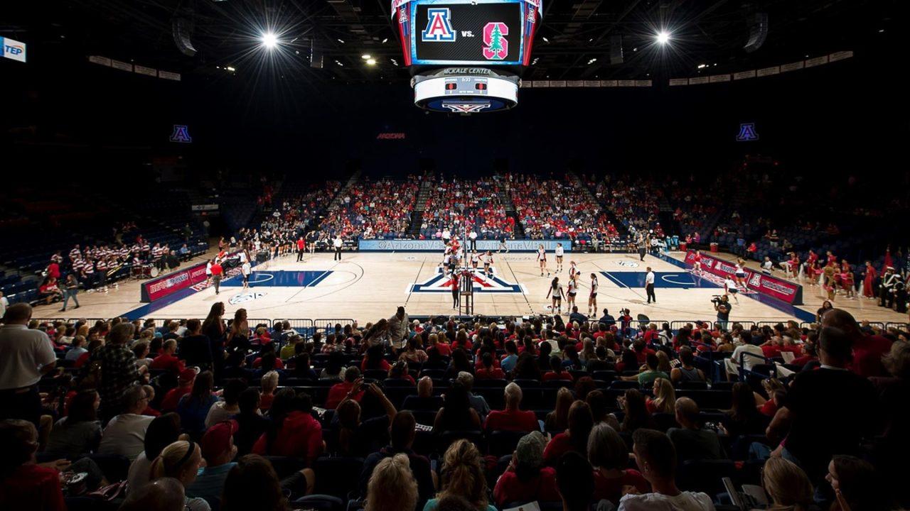 Arizona Adds Setter Transfer from Bakersfield College