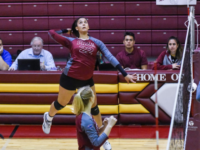 Park's Nada Meawad Named AVCA NAIA Freshman Of The Year