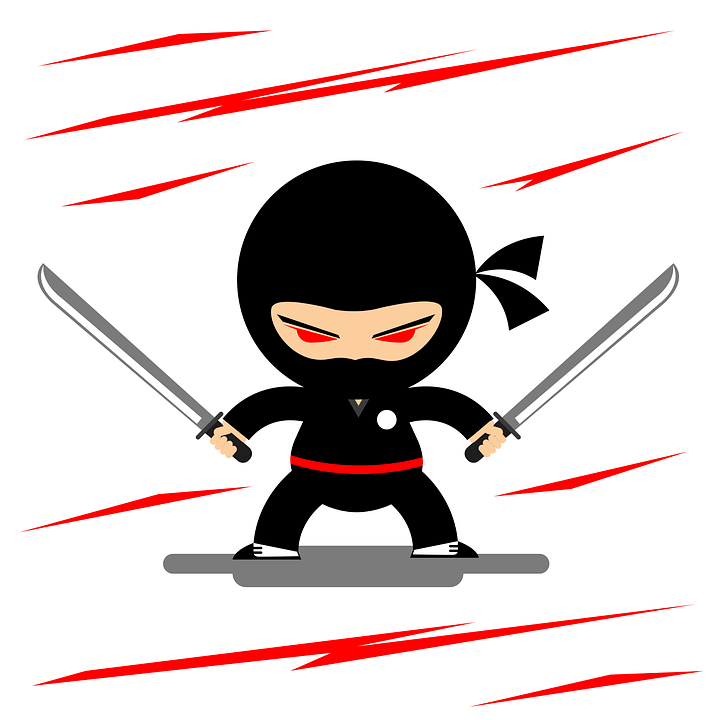 ‘Ninjas’ May Be On Guard At Tokyo 2020 Olympic Games