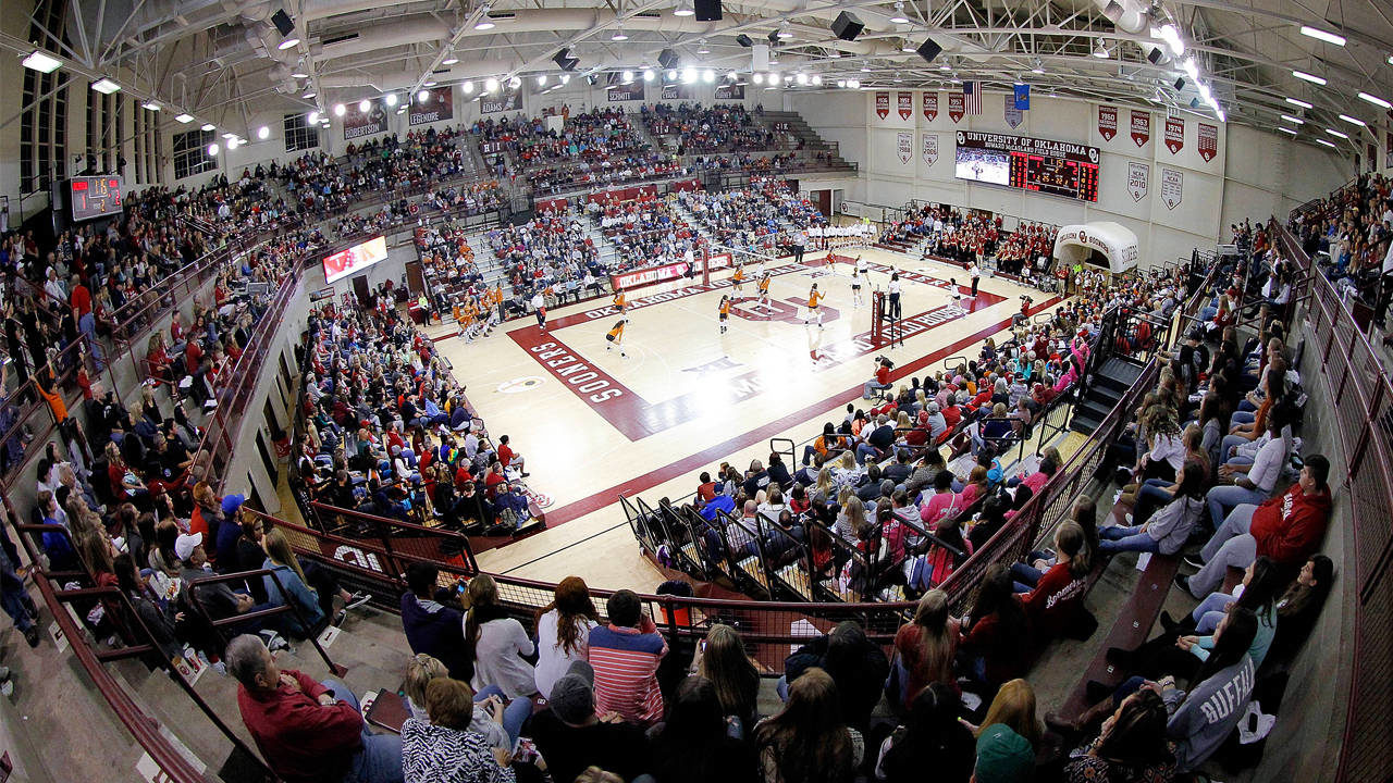 Oklahoma Hires Drake Stenberg as Director of Volleyball Operations